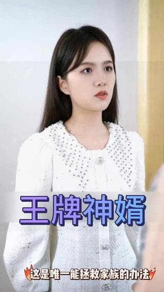 王牌神婿海报