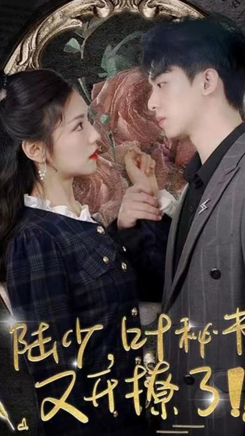 陆少，叶秘书又开撩了海报