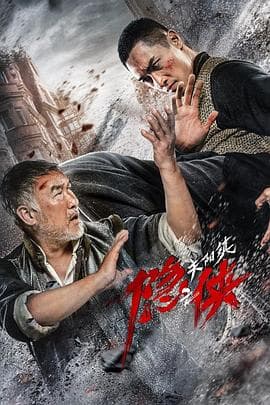 隐侠之关阳镇海报