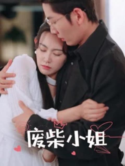 废柴小姐海报