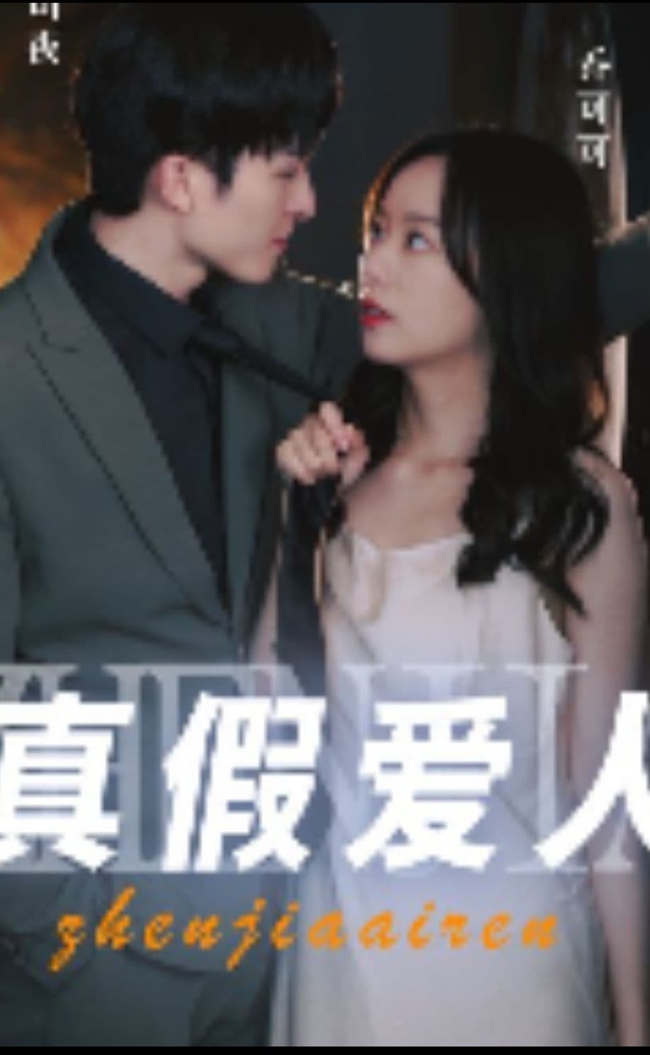 真假爱人海报