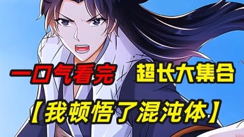 我顿悟了混沌体海报