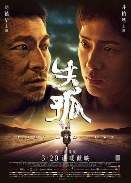 失孤海报