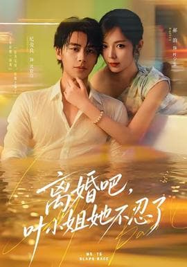 离婚吧，叶小姐她不忍了海报