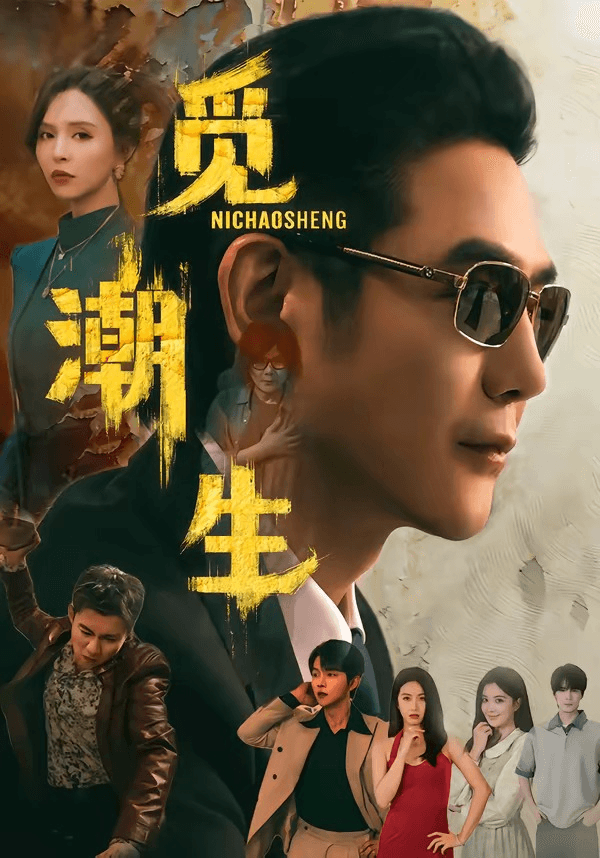 觅潮生海报