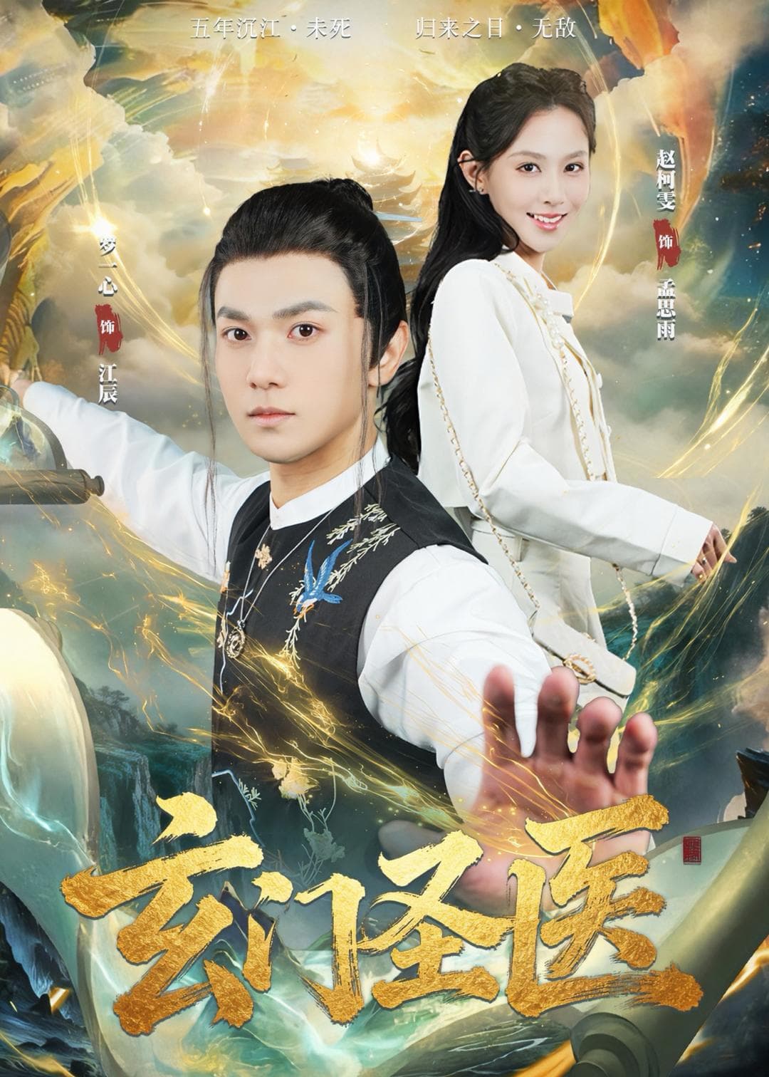 玄门圣医海报