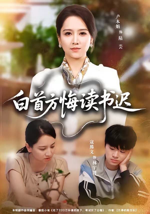 白首方悔读书迟海报