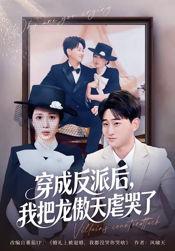穿成反派后，我把龙傲天虐哭了海报
