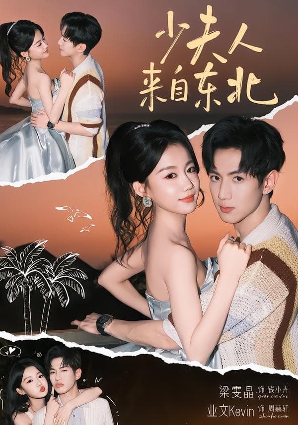 少夫人来自东北第一季海报