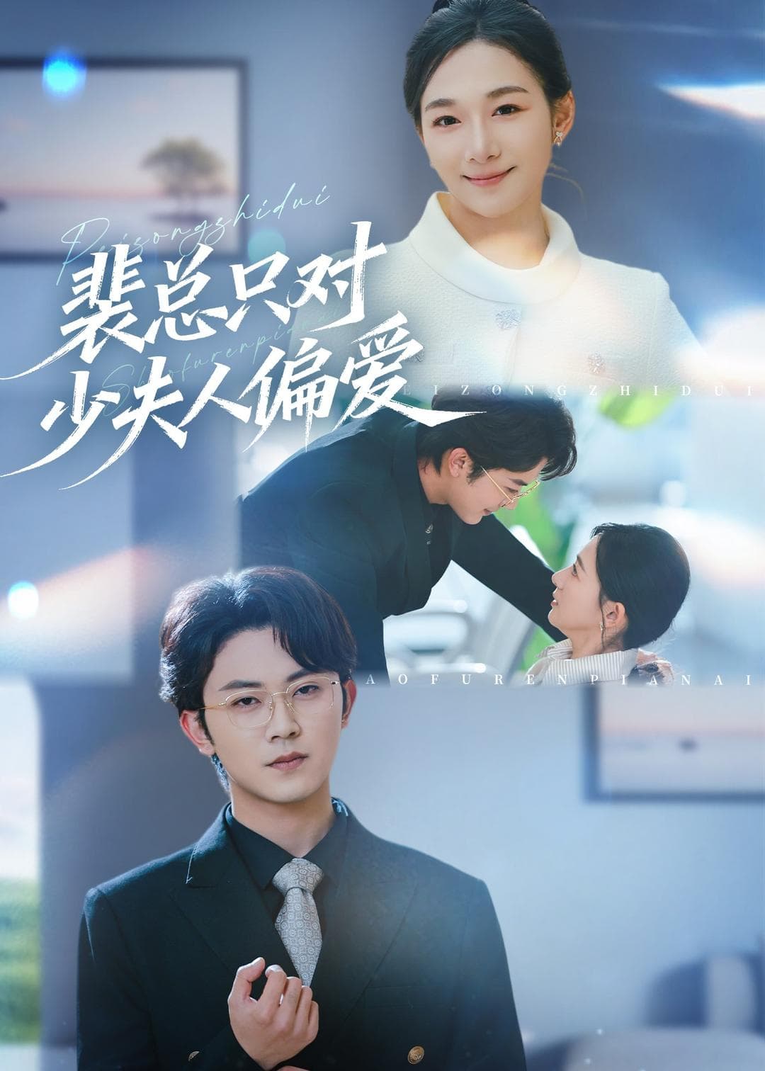 裴总只对少夫人偏爱海报
