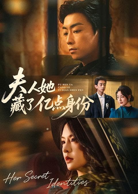 夫人她藏了亿点身份海报