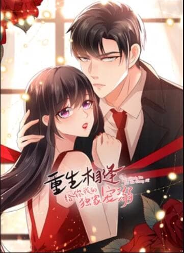 重生相逢:给你我的独家宠溺 动态漫画第三季海报