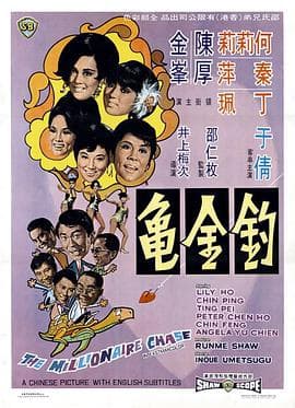 钓金龟海报