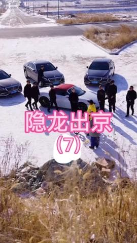 隐龙出京海报