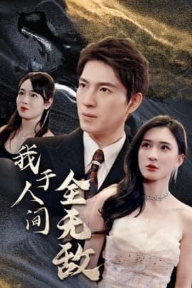 我于人间全无敌海报