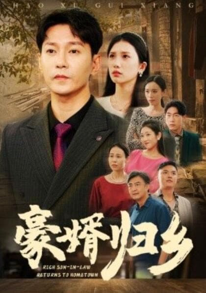豪婚归乡海报