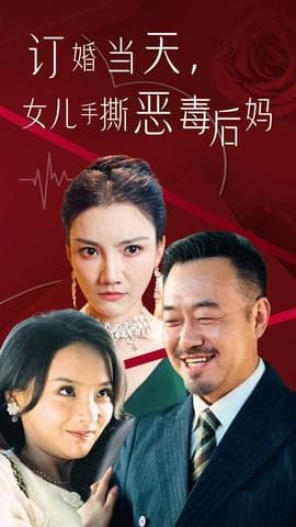 订婚当天，老丈人镇压全场海报