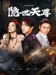 隐世天尊海报