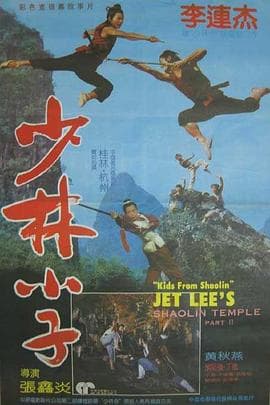 少林小子粤语海报