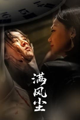 满风尘海报