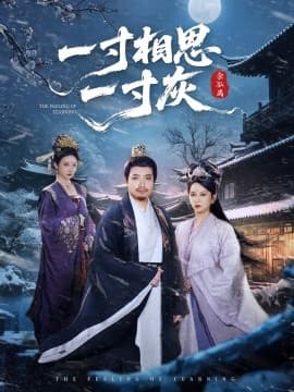 一寸相思一寸灰海报