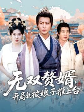 无双赘婿开局就被娘子推上台海报