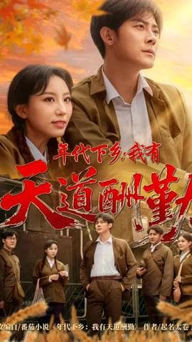 年代下乡我有天道酬勤海报