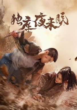 独库夜未眠海报