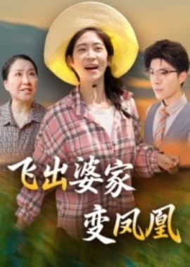 飞出婆家变凤凰海报