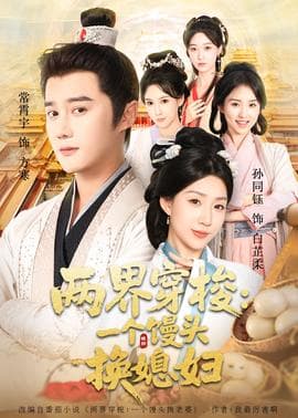 两界穿梭一个馒头换媳妇海报