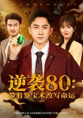 逆袭80带着鉴宝术改写命运海报
