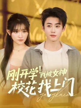 刚开学！我被女神校花找上门海报