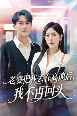 老婆把我丢在高速后，我不再回头海报