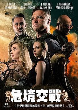 危境交战海报