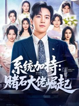统加持：赌石大佬崛起海报