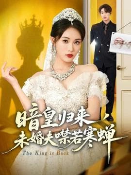 暗皇归来，未婚夫噤若寒蝉海报