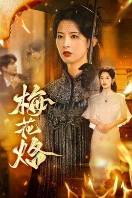 梅花烙海报