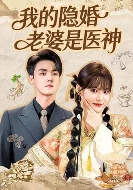 我的隐婚老婆是医神海报