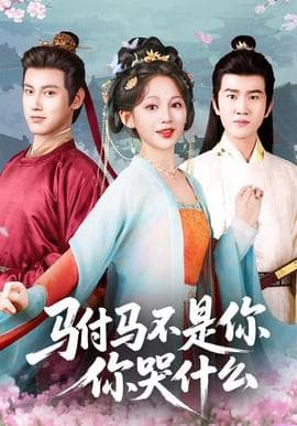 驸马不是你，你哭什么海报
