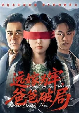 远嫁为牢，爸爸破局海报