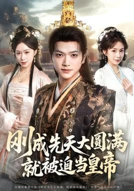 刚成先天大圆满，就被迫当皇帝海报
