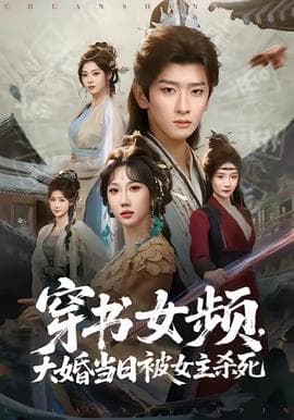 穿书女频，大婚当日被女主杀死海报