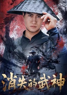 消失的武神海报
