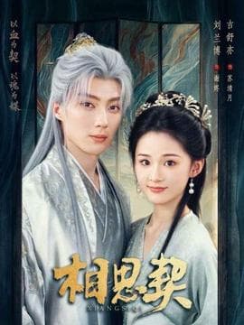 相思契海报