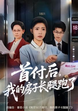 首付后，我的房子长腿跑了海报