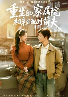 重生80家属院，相亲匹配到前夫海报