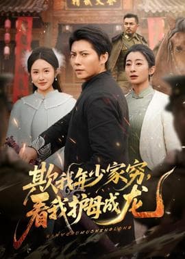 欺我年少家穷，看我护母成龙海报