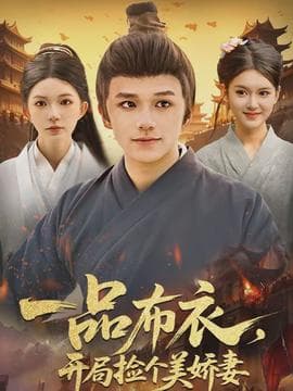 一品布衣，开局捡个美娇妻海报