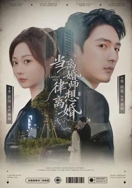 当离婚律师想离婚海报