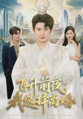 飞升前夜，我选择离婚海报